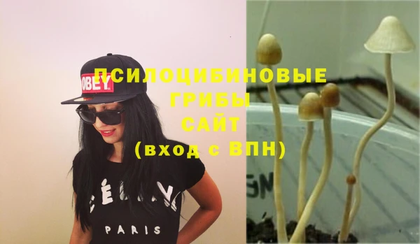 хмурый Хадыженск