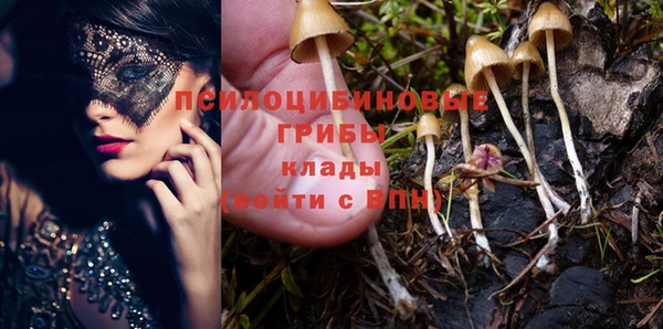 мяу мяу мука Алзамай