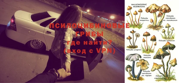 мяу мяу мука Алзамай
