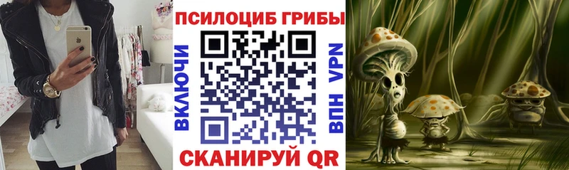 Псилоцибиновые грибы Cubensis  omg маркетплейс  Анадырь 